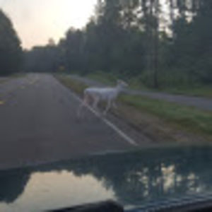 Meet your Posher, Jared